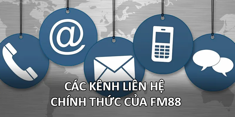 Liên Hệ FM88 1 Các kênh liên hệ chính thức của FM88